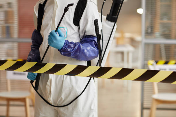Professional Hoarding Cleanup technician working in Brownsville, TX